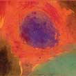Bettina Blum